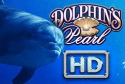 Dolphins-Pearl-HD