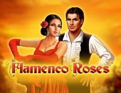 flamenco-roses