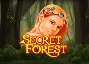 Secret-Forest